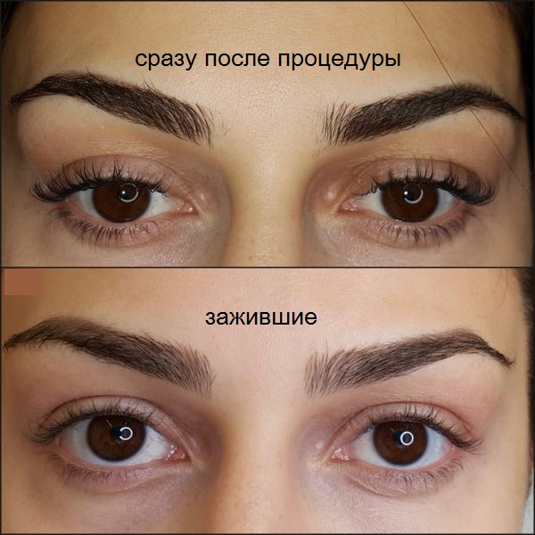 Пудровые брови